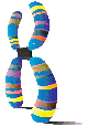 logo-ebgm