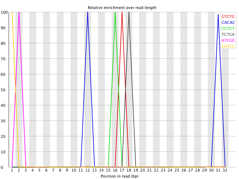Kmer graph
